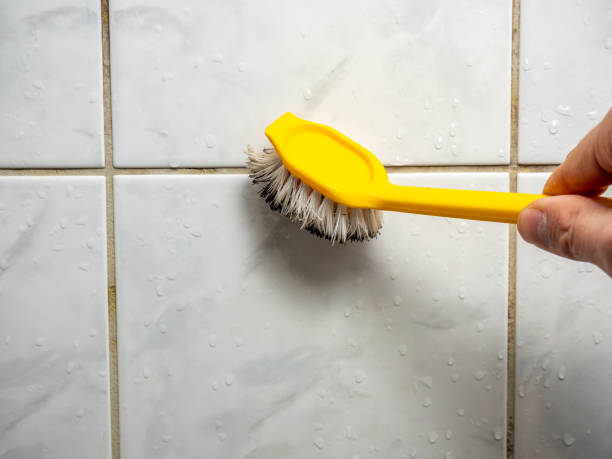 Best Office Mold Removal Services  in Tidmore Bend, AL