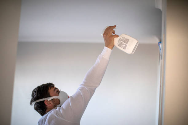 Best Same-Day Mold Removal  in Tidmore Bend, AL