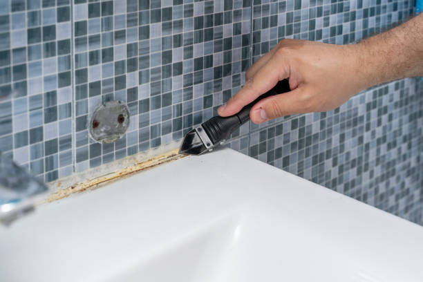 Best Mold Remediation  in Tidmore Bend, AL