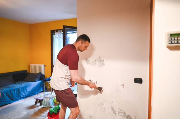 Attic Mold Removal in Tidmore Bend, AL